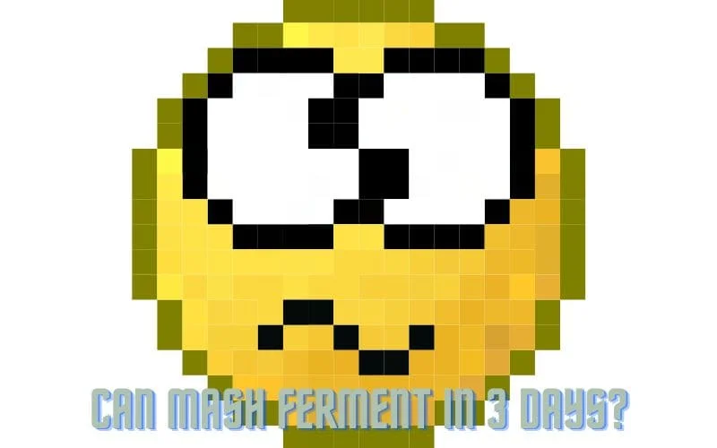 Can Mash Ferment In 3 Days