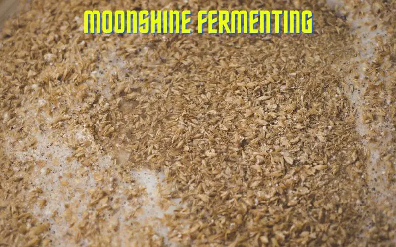 Moonshine Fermenting